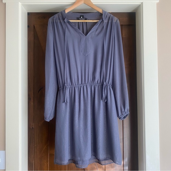 WHBM Gray Metallic Blouson Tassel Dress Lined Size 8 - Picture 1 of 6
